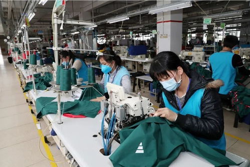 云浮 网格立体战法彰显“善德之城”硬核风采，创业空间服务赋能发展新格局